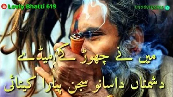 Asan kadan nashai ha sy lyrics