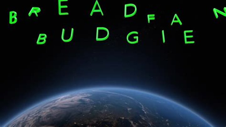 Breadfan (originally recorded by budgie) . lyrics