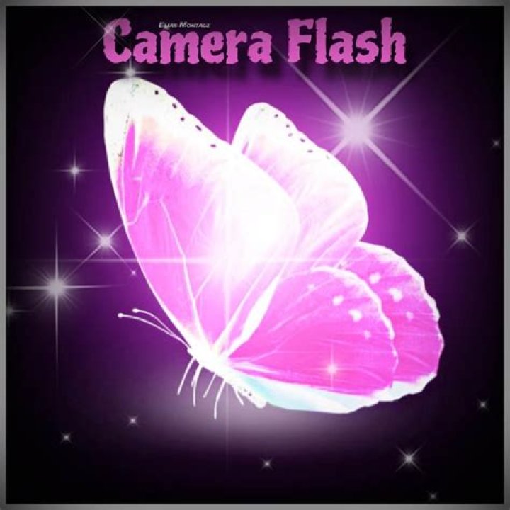 Camera flash lyrics