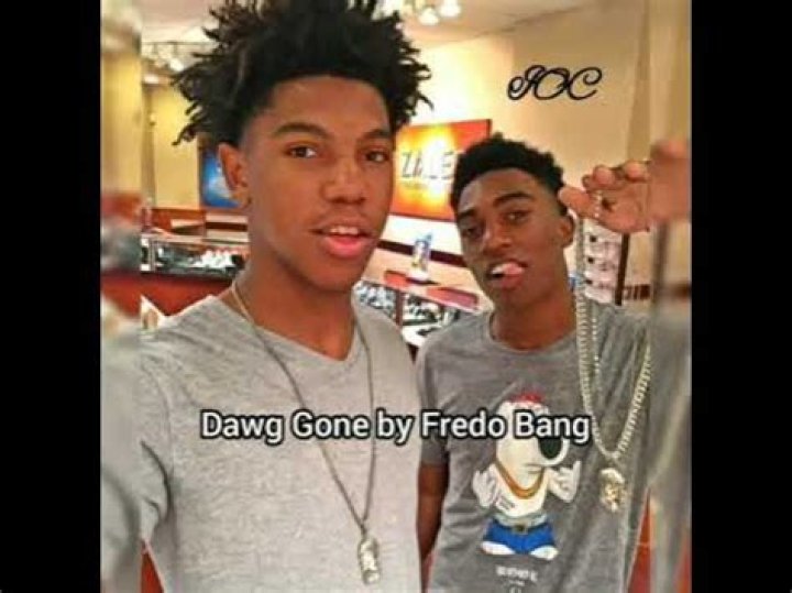 Fredo bang dawg gone lyrics