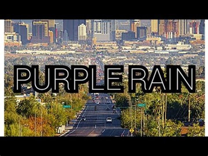 Future purple rain lyrics