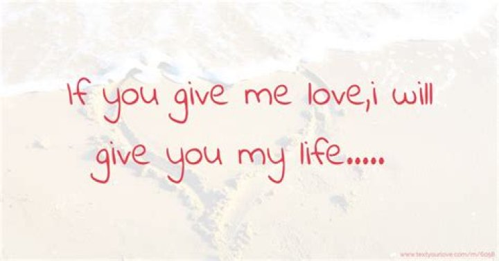 I will give you my love give you my life lyrics
