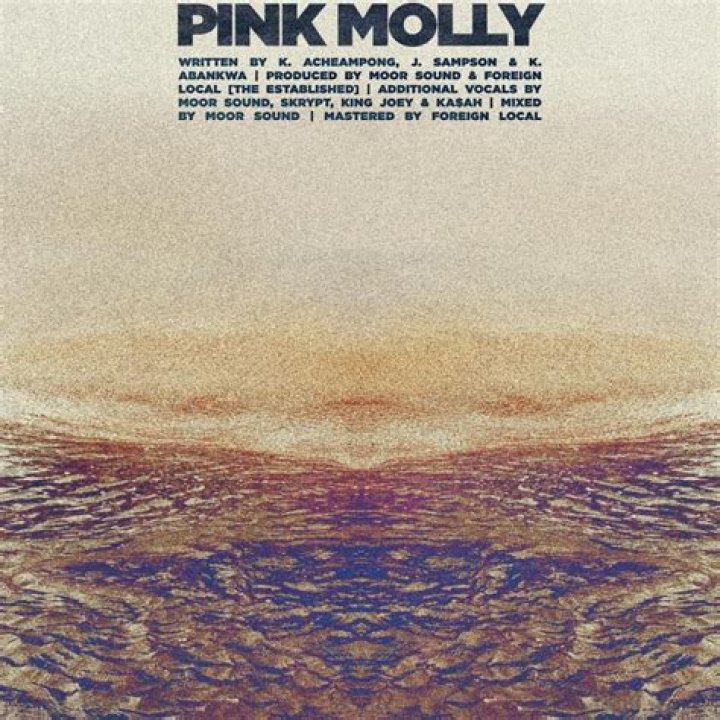 Pink molly lyrics