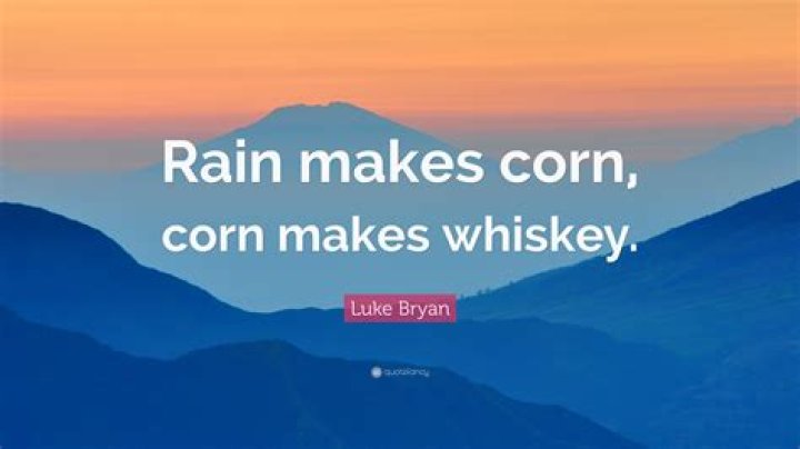 Rain makes corn lyrics