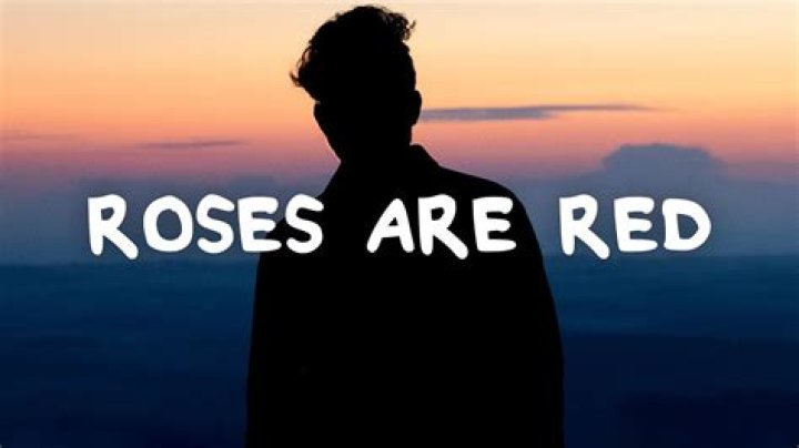 Roses are red violets are blue lyrics