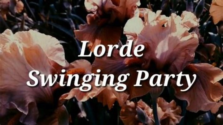 Swinging party down the line lyrics